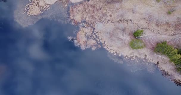 Вид Сверху Остров Текстуру Озера Река Впадает Озеро Прекрасный Весенний — стоковое видео