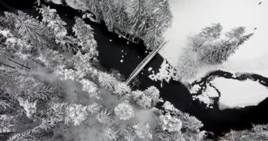 Camera slowly tilting down overlooking black flowy river and frozen forest. Frosty bridge and winter landscape. Black winter river. Outdoor leisure. Snowy and ice treetops. . 