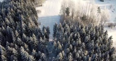 Flying over forest overlooking little wooden house in the meadow. Icy cold winter morning. Cozy little wooden log cabin in the woods. Snow covered land. After heavy snowfall, snowstorm. .