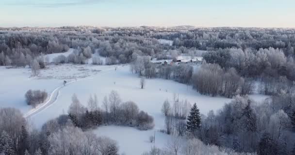 Flying Magical Wintry Forest Little Village Background Frozen Snowy Spruce — Αρχείο Βίντεο