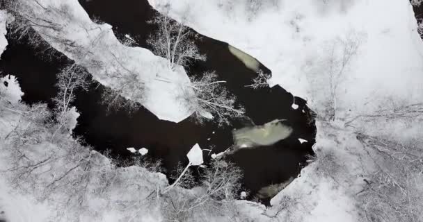 Flying Flowy Winter River Beautiful Snow Scene Landscape Black River — ストック動画