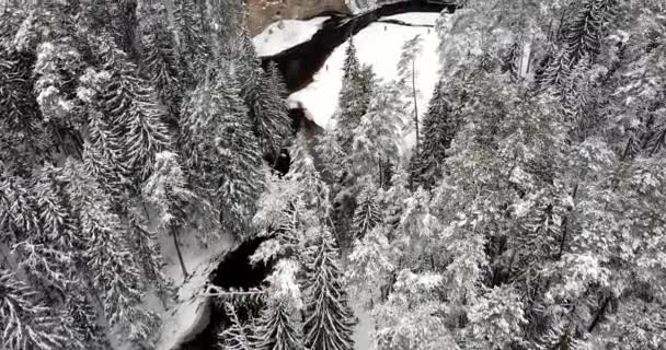 Overlooking Rocky Outcrop Winter Landscape Snow Covered Forest River Flowing — Stok video