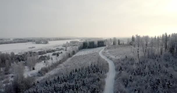 Aerial Footage Flying Frosty Tree Tops Landscape Sunset Colors Cold — 비디오