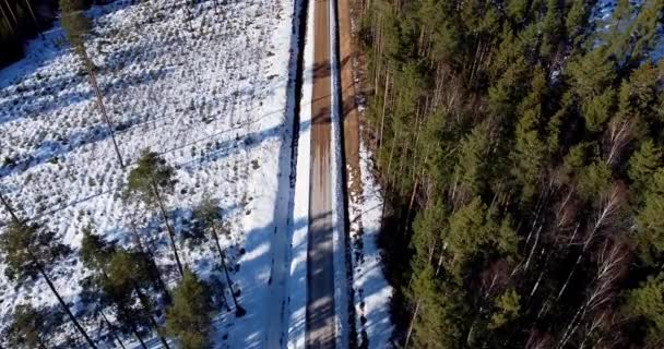 Aerial Footage Never Ending Straight Road Winter Landscape Pine Trees — Vídeos de Stock