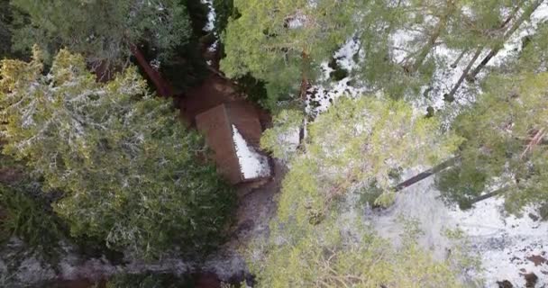 Cabin Woods Flying Winter Forest Little Mountain Hut Snow Covered — Stock videók