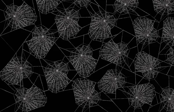 Collection of Spiderweb cobweb and a bat vector illustration. Spiderweb for Halloween design. Spooky, scary and mystical. Hand drawn. Outline illustration. Pattern. . Vector illustration