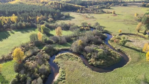 Kręta Rzeka Jesiennym Lasem Zielone Żółte Drzewa Egzotyczna Rzeka Przepływa — Wideo stockowe