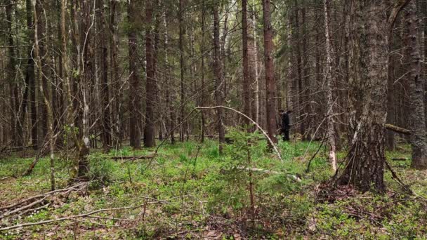 Joven Caminando Por Bosque Con Detector Metales Sol Brillando Través — Vídeos de Stock