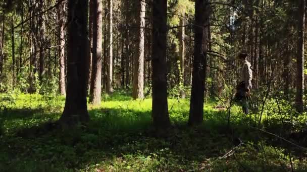 若い男が金属探知機で森の中を歩く 太陽が木を通して輝く 宝探しと宝探し 金掘り コインファインダー 夏と太陽 — ストック動画