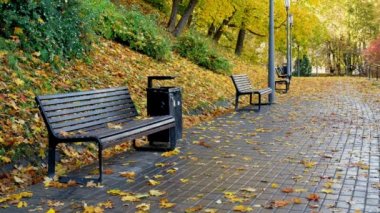 Şehirde sonbahar. Parktaki boş banklar. Şehir parkında kaldırım kenarında boş bir bankta huzurlu bir manzara. 4 bin. Kimse yürümüyor. Arka planda güzel sarı, turuncu ve kırmızı sonbahar ağaçları.