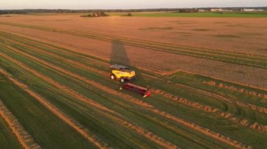 Giden bir hasat makinesinin inanılmaz günbatımı görüntüsü. Sahadaki tarım makineleri işi bitirip eve gidiyor. Yaz çiftliğinin sonu. İnsansız hava aracı görüntüleri kırsal alanda. Gün batımı 