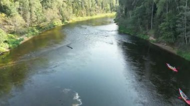 Kanocuların kayak yaptığı bir spor kanosuna insansız hava aracı atışı. Sahil kıyısında sakin bir nehir ve orman boyunca yelken açıyorlar. İnsanlar kanoyla denize açılıyorlar. Bir grup kanocu beyaz suda kürek çekiyor. Yüksek kalite 4k görüntü