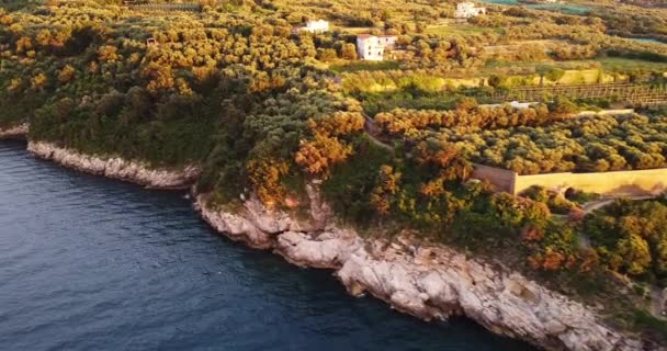 秋の木々と海のビーチエッジ 黄色とオレンジの木の上の森 秋の森は丘陵海岸 ターコイズブルーの海の波が海岸を満たして成長します イタリアの海岸線 丘と山 — ストック動画