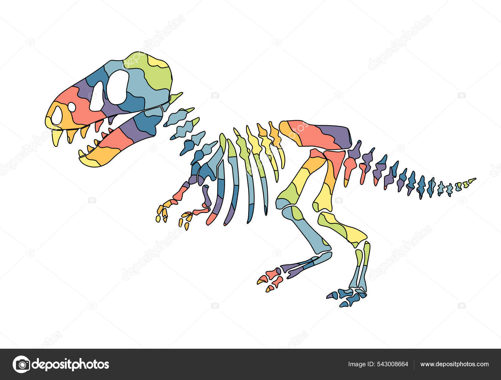 Tiranossauro rex esqueleto desenhado à mão ilustração vetorial em fundo  branco