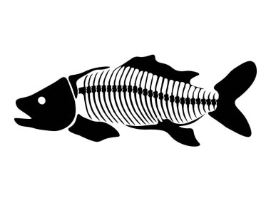 Beyaz arka planda izole edilmiş balık iskeleti olan vektör çizimi. Çocuklar için balıklı orijinal tasarım. Tişört, tekstil, ambalaj kağıtları, web sayfaları için yazdır.