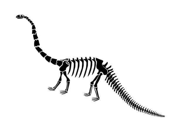 Baixar Vetor De Conjunto De Silhueta De Esqueleto De Dinossauro