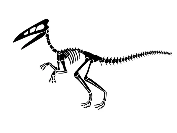 Vektor Illustration Med Dinosaurie Skelett Isolerad Vit Bakgrund Original Design — Stock vektor