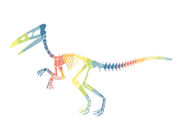 Vektor Illustration Mit Regenbogen Dinosaurier Skelett Isoliert Auf Weißem Hintergrund — Stockvektor