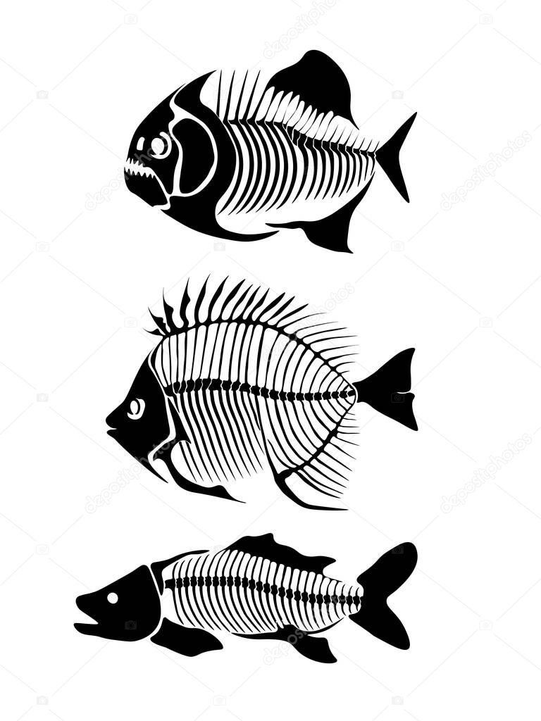 Vector set with fish skeleton isolated on a white background. Original design with fish for children. Print for T-shirts, textiles, wrapping papers, webb.