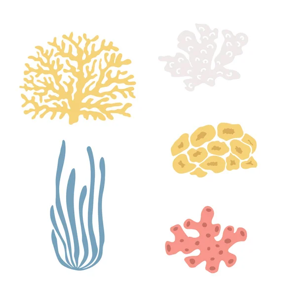 Cute Vector Ocean Set Algae Corals Underwater Cartoon Creatures Marine — Stockový vektor