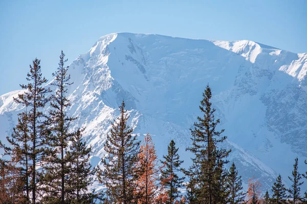 Mont Aktru Gorny Altaï — Photo