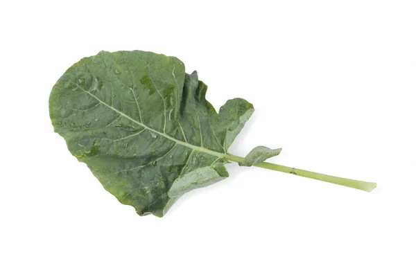 Kale Lettuce Leaves White Background Isolated Clipping Path — Fotografia de Stock