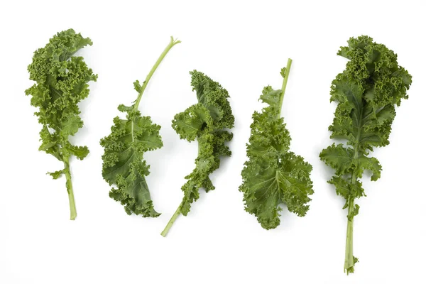 Kale Leaves White Background Isolated Clipping Path Organic Cabbage Kale — Stock Photo, Image
