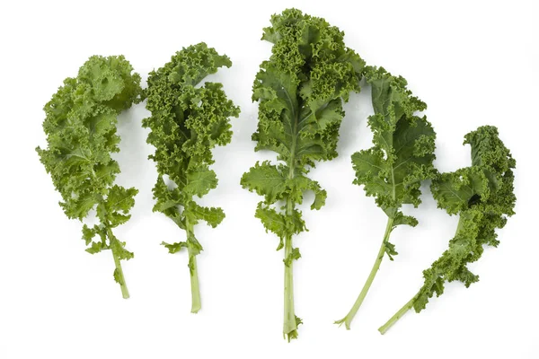 Kale Leaves White Background Isolated Clipping Path Organic Cabbage Kale — Stock Photo, Image