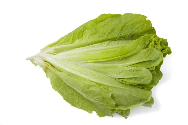 Green Romaine Lettuce White Background Isolated Clipping Path Flat Lay — Stockfoto