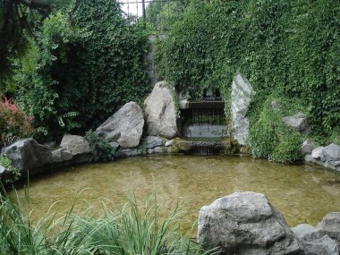 Manzara parkında şelale