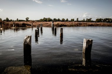 Wooden poles probably remains of an old wooden pier at the sea lake of Tourlida in Mesologi, Greece