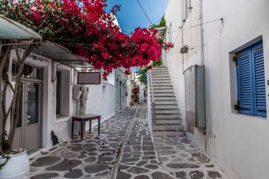 Traditional alley at Paroikia of Paros on a colorful day, Cyclades, Aegean, Greece