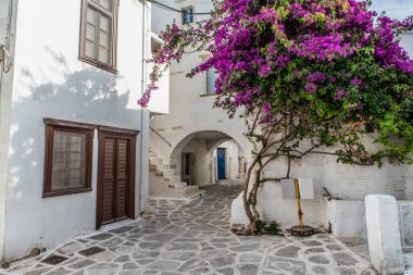 Traditional alley at Paroikia of Paros on a colorful day, Cyclades, Aegean, Greece