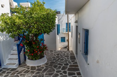 Traditional alley at Paroikia of Paros on a colorful day, Cyclades, Aegean, Greece