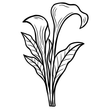 El çizimi nilüfer yaprakları doğal yaprak izole siyah botanik çizgisi çizimi