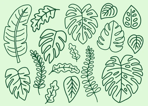 Grünes Blatt Blätter Monstera Design Element Gesetzt Outline Style Illustration — Stockvektor