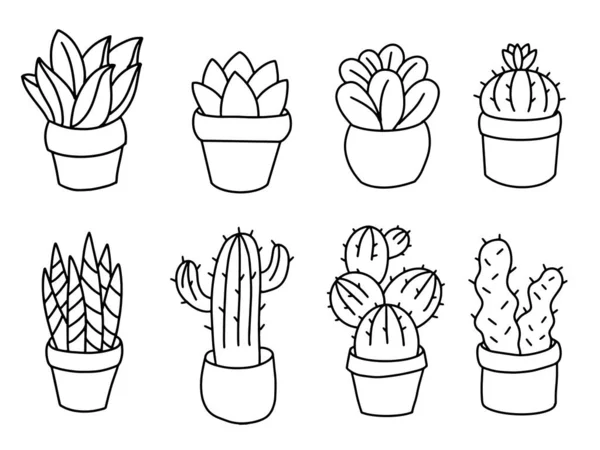Cactus Succulente Vasi Set Schema Illustrazione — Vettoriale Stock