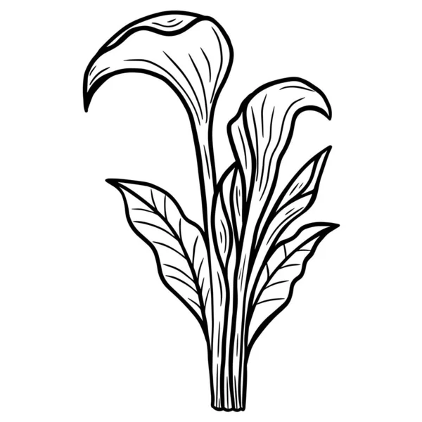 Mão Desenhada Flor Lótus Folhas Naturais Isolado Adesivo Preto Botânico — Vetor de Stock