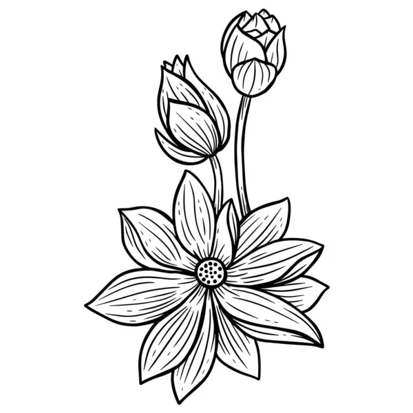 Hand Drawn Flower Lotus Leafs Naturals Isolated Stiker Black Botanical - Stok Vektor