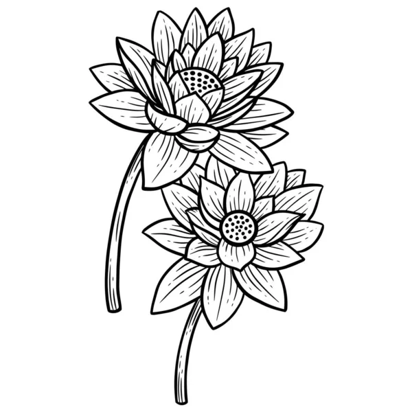 手描き花蓮葉自然孤立ステッカー黒植物ラインアートイラスト — ストックベクタ
