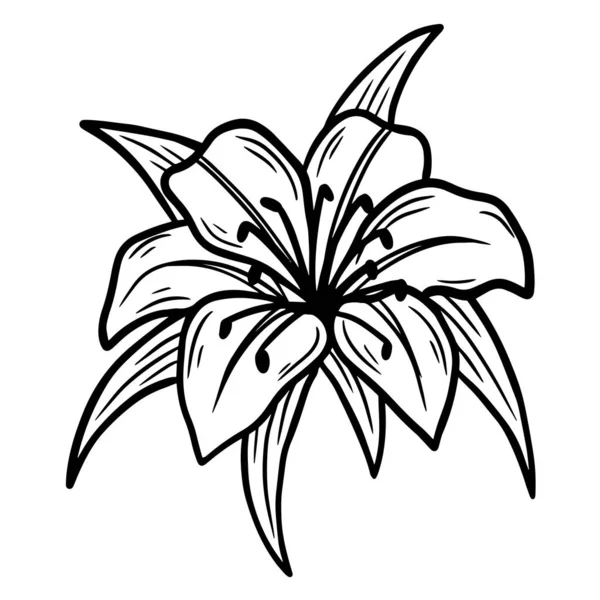 Hand Drawn Flower Rose Leafs Naturals Isolated Stiker Black Botanical - Stok Vektor