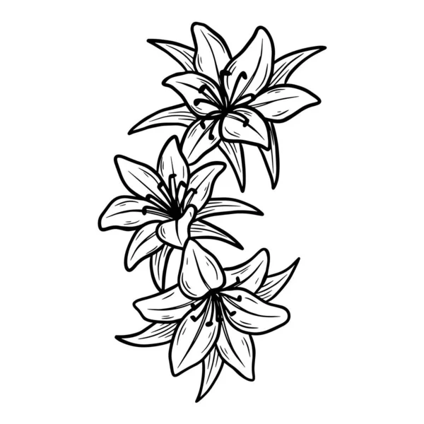 Çizimi Gül Yaprakları Doğal Yaprak Izole Siyah Botanik Çizgisi Çizimi — Stok Vektör