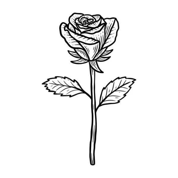 Flor Dibujada Mano Rose Hojas Naturales Aislado Etiqueta Engomada Negro — Archivo Imágenes Vectoriales