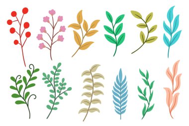 Düz Yaprak Yaprak Paketini Ayarla Bitki Tropikal Botanik İllüstrasyonuName