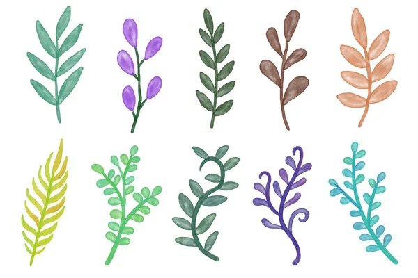 水彩葉のセット花植物自然イラスト — ストックベクタ