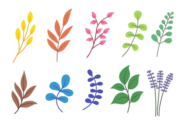 Zestaw Zestaw Płaskich Liści Liści Element Roślinny Tropikalna Ilustracja Botaniczna — Wektor stockowy