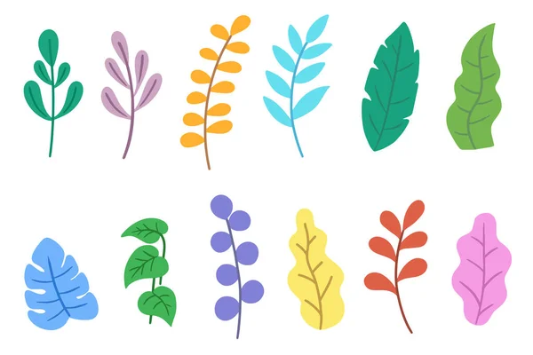 Set Packung Mit Flachen Blättern Element Pflanze Tropische Botanische Illustration — Stockvektor