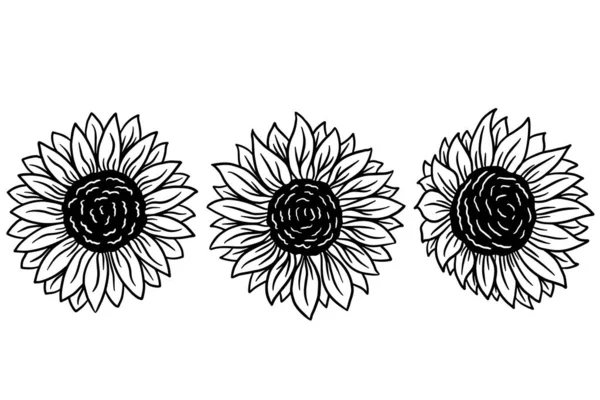 Set Med Solen Blomma Isolerad Dekorativ Vacker Handritad Illustration — Stock vektor