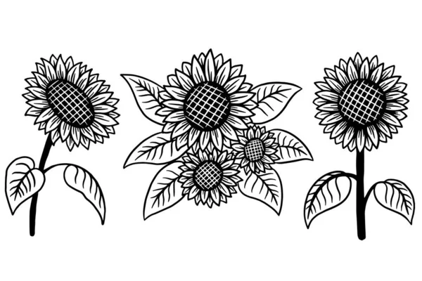 Set Sun Flower Diisolasi Dekorasi Tangan Indah Gambar Ilustrasi - Stok Vektor