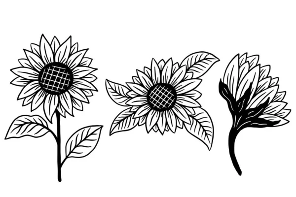 Set Med Solen Blomma Isolerad Dekorativ Vacker Handritad Illustration — Stock vektor